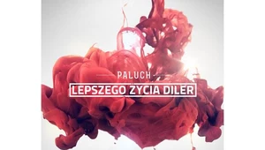 Paluch "Lepszego życia diler". Najpierw nauka, potem chłosta (recenzja)