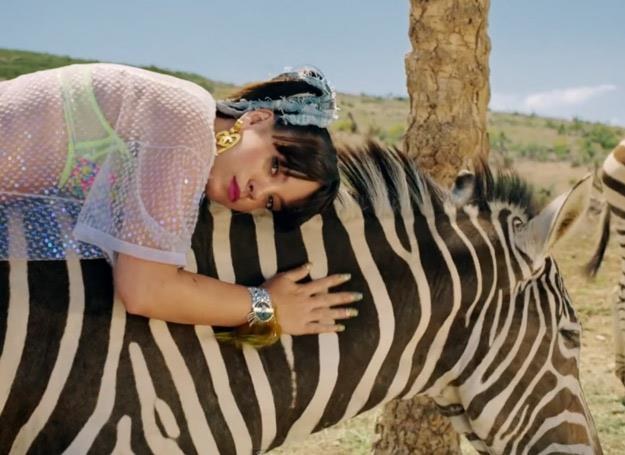 Lily Allen i "wykorzystywana" zebra w teledysku "Air Balloon"