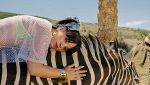 Lily Allen i "wykorzystywana" zebra w teledysku "Air Balloon"