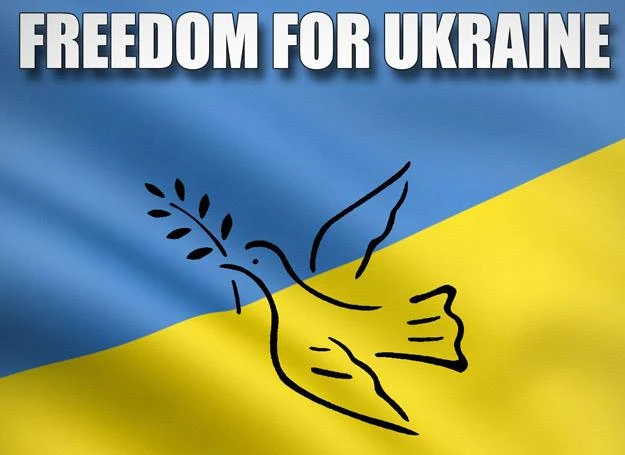 Okładka singla "Polska dla Ukrainy - Freedom For Ukraine" Okładka singla "Polska dla Ukrainy - Freedom For Ukraine"