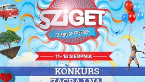 Wybierz swojego faworyta i wygraj karnet na Sziget Festival 2014