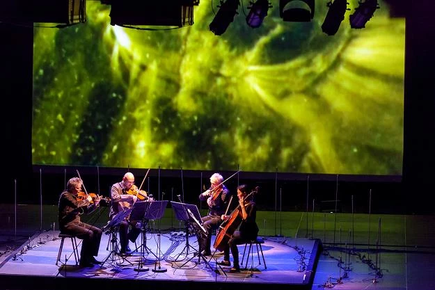 Kronos Quartet w Łaźni Nowej fot. Wojciech Wandzel