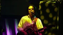 Steve Hogarth