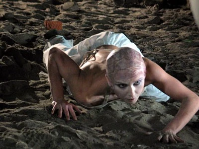 fot. Jarosław Zerbe