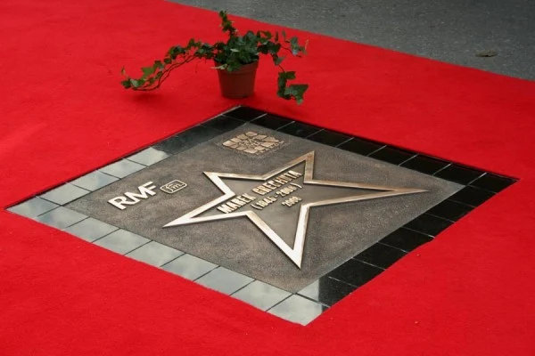 fot. Robert Kamieniarz fot. Robert Kamieniarz