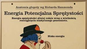 Anatomia Głupoty według Richarda Hammonda