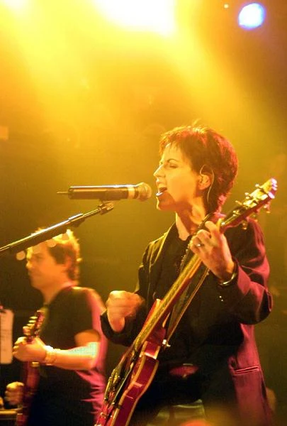 W 2003 roku The Cranberries zawiesiło działalność, a Dolores rozpoczęła karierę solową.
