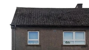 Luksusy nie kręcą Susan Boyle