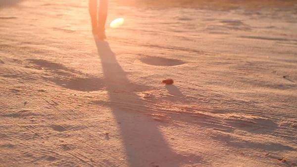 fot. Arek Stani fot. Arek Stani