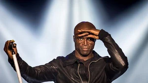 Seal we Wrocławiu - 18 listopada 2012 r.