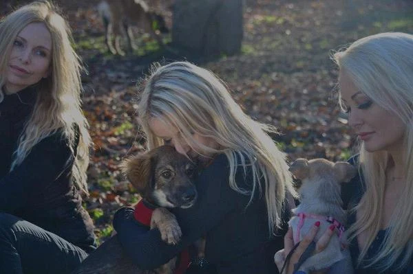 Charytatywny teledysk powstaje dla bezdomnych zwierząt - cały dochód ze sprzedaży zostanie przekazany dla organizacji Poli Pospieszalskiej K-9Angels