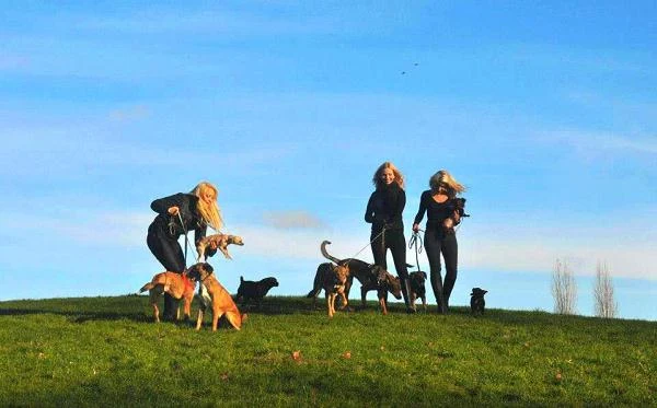 Pola pochodzi z muzycznej rodziny Pospieszalskich (jest córką gitarzysty i trębacza Karola Pospieszalskiego)