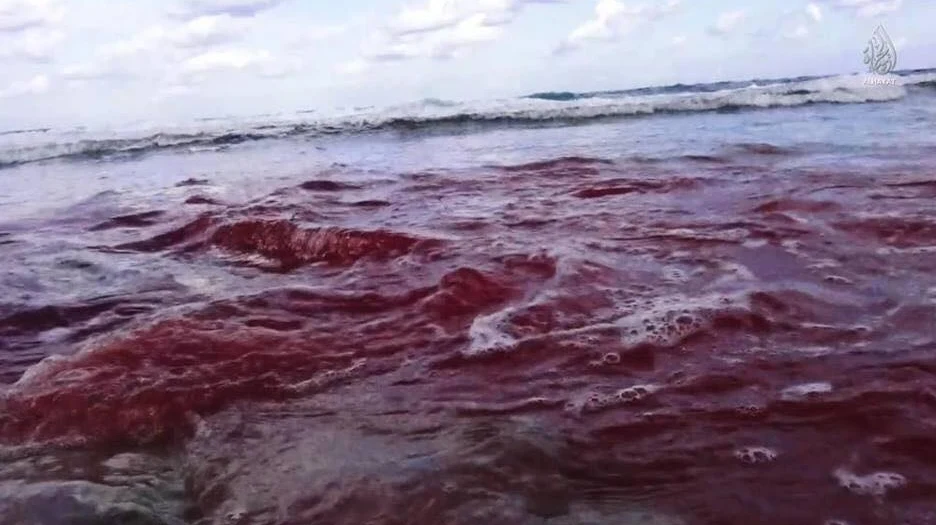 Zdjęcie to udostępniła na swojej stronie na Facebooku koptyjska organizacja orsozox.com