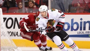 Steve Montador