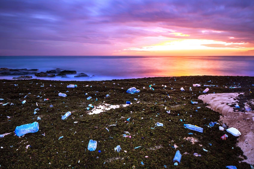 Zanieczyszczone oceany, plaże i wybrzeża - wszystko dziełem człowieka