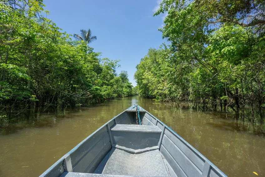 Czy Amazonia była kiedyś zamieszkana przez rozwinięte cywilizacje?