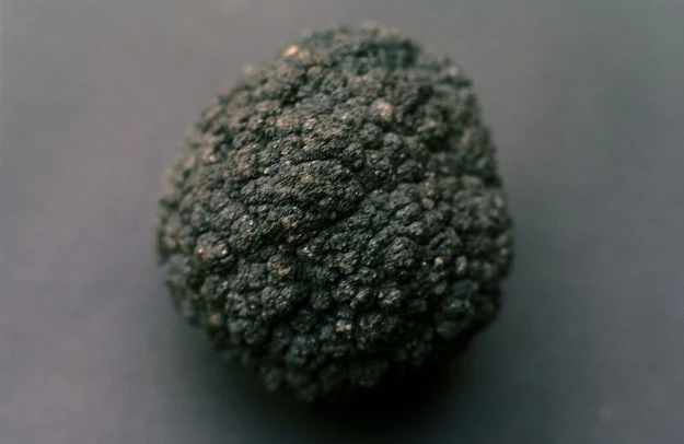 Manganese nodule. Fot. Koelle/de.wikipedia