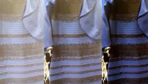 #TheDress - jakiego koloru jest ta sukienka?