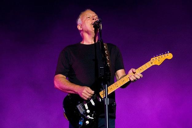 David Gilmour planuje nowy solowy album i solową trasę (fot. Łukasz Ostalski)