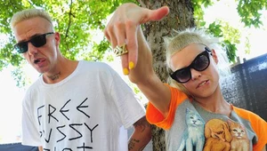 Die Antwoord na Open'er Festival 2015