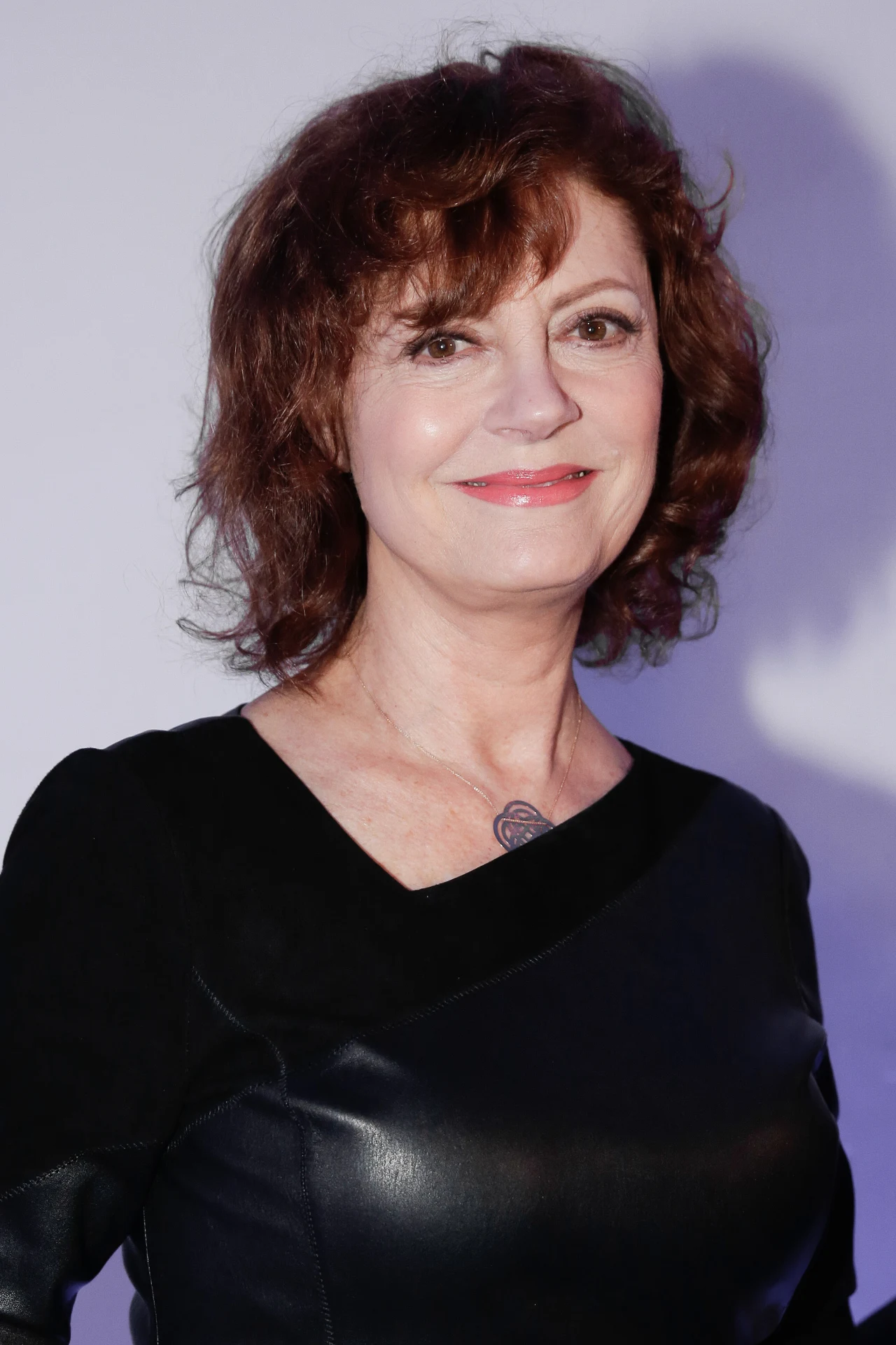 Susan Sarandon Susan Sarandon