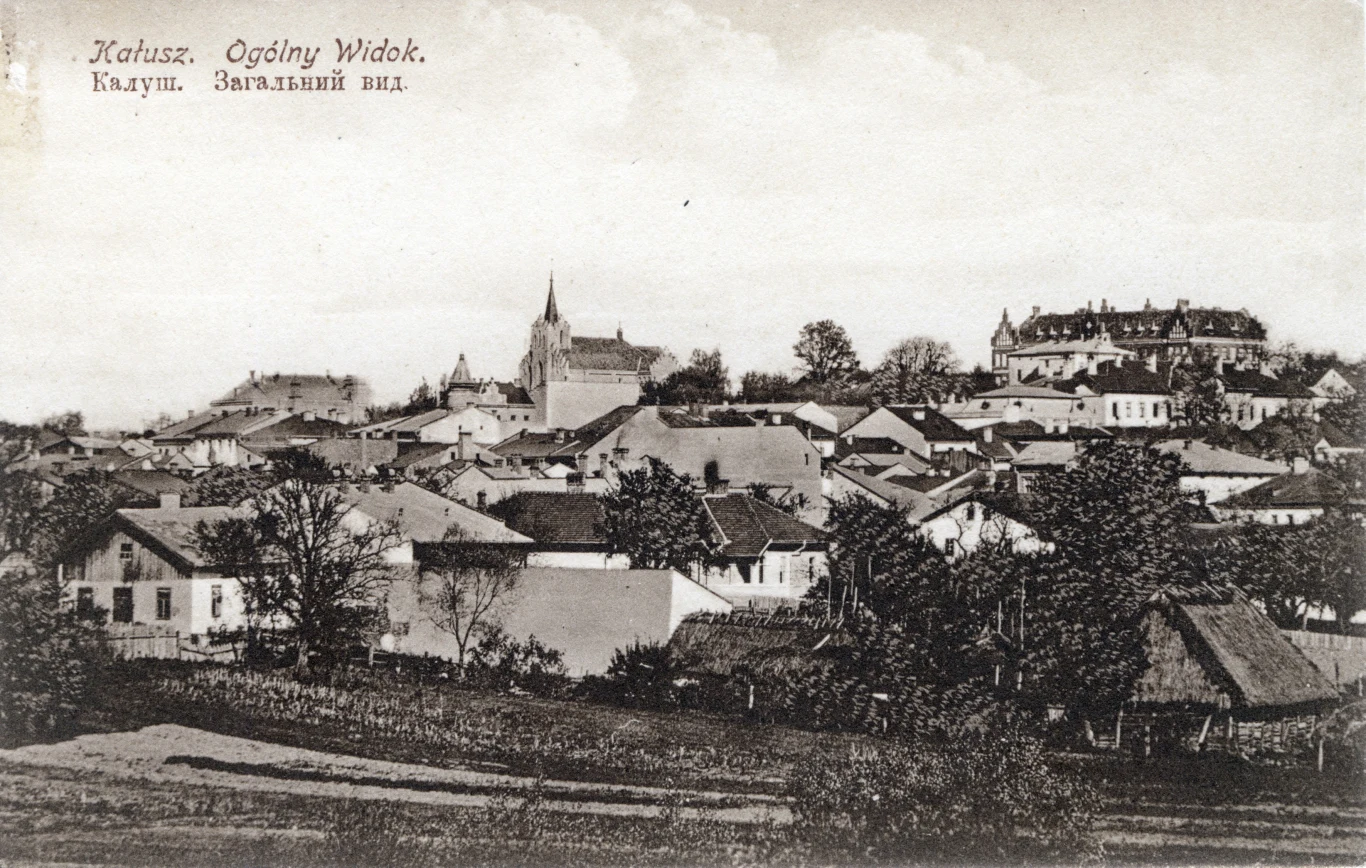 Kałusz - widok ogólny