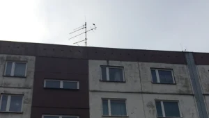 Do tragedii doszło w jednym z mieszkań w dzielnicy Sośnica