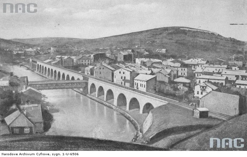Turka - panorama miasta od strony rzeki Stryj i wiaduktu kolejowego