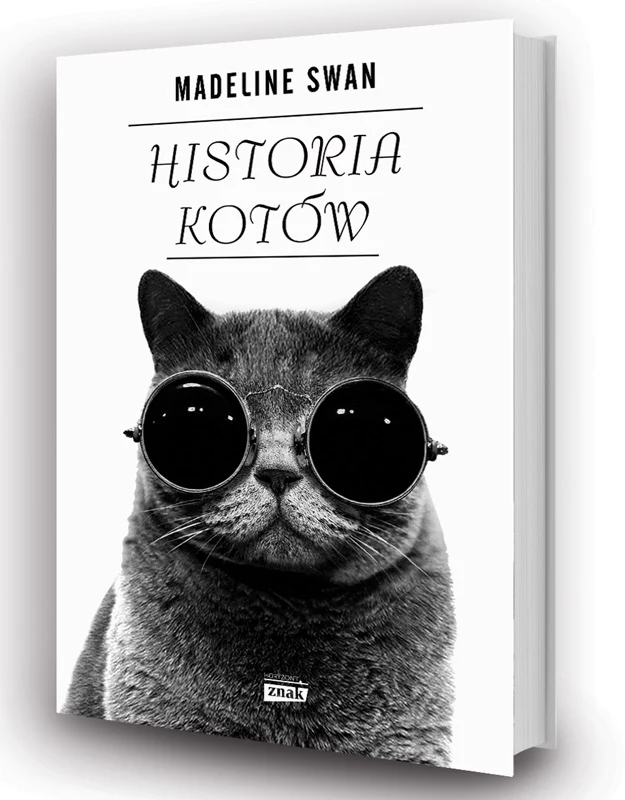 Historia kotów