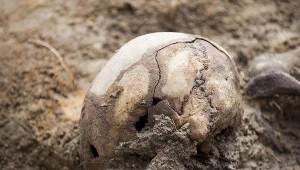 Lokalny historyk Bogdan Szykuła wraz z władzami gminnymi doprowadził do ekshumacji kilku osób siedem lat temu, zdjęcie ilustracyjne