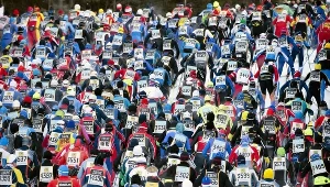 Narciarze na trasie Biegu Wazów