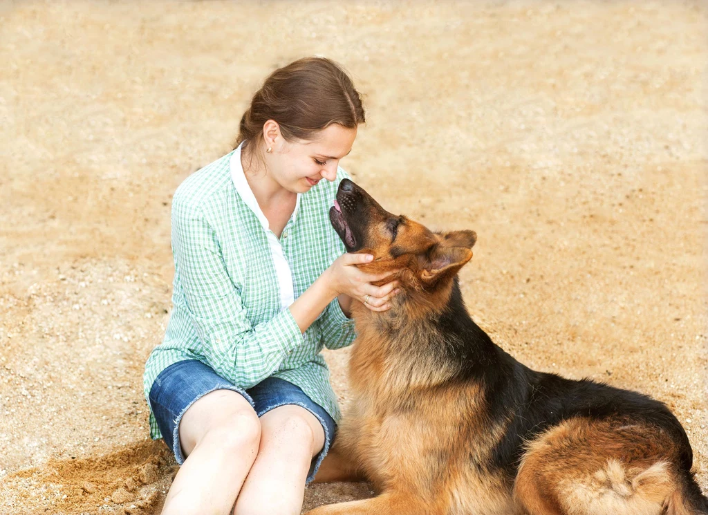 Pies okazuje nam miłość, liżąc nas po twarzy?