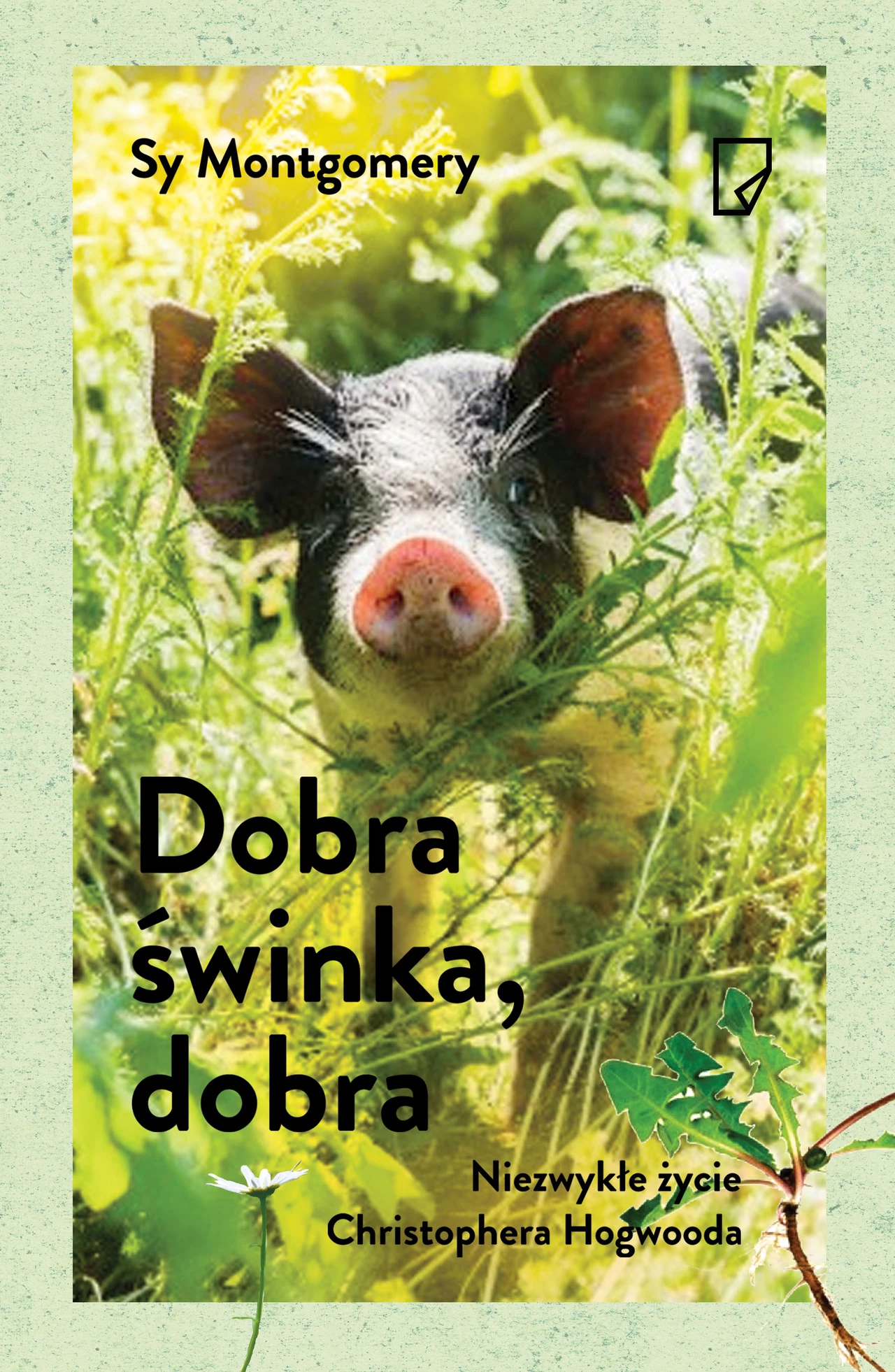 Dobra świnka, dobra. Niezwykłe życie Christophera Hogwooda Dobra świnka, dobra. Niezwykłe życie Christophera Hogwooda