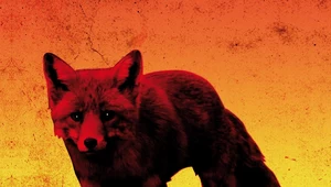 Recenzja The Prodigy "The Day Is My Enemy": ...bo po zmroku zmarszczki mniej widać