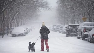 Globalne ocieplenie zmniejsza temperaturową różnorodność