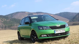 Nowa, "wszystkomająca" Skoda Fabia