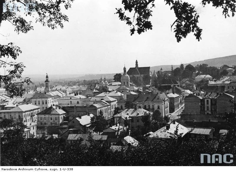 Brzeżany, widok ogólny śródmieścia