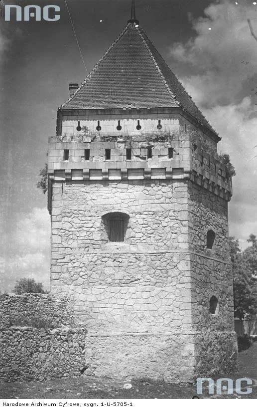 Skałat. Ruiny zamku