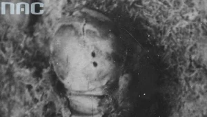 Ekshumowane zwłoki ofiary NKWD. Widoczne otwory wlotowe pocisków w tyle czaszki