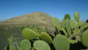 Fuerteventura - spokojna wyspa, czy mekka żądnych adrenaliny?