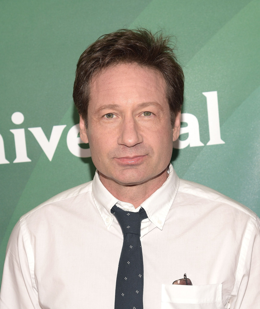 David Duchovny startuje z karierę muzyczną