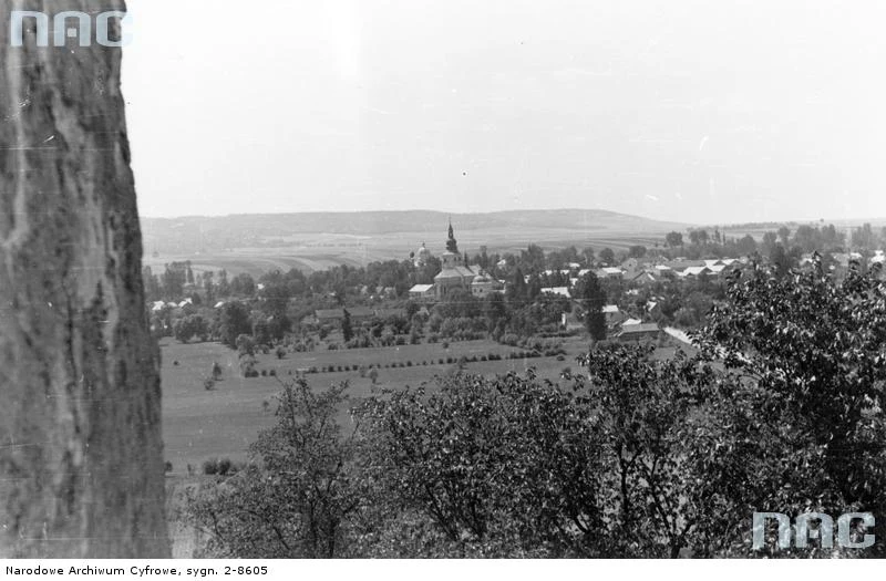 Olesko. Panorama miasta - widok z góry zamkowej