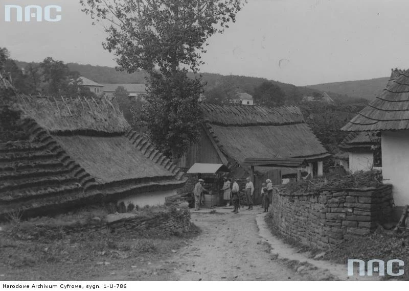 Czerwonogród - zagrody wiejskie 