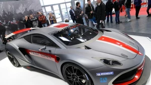 Arrinera. Auto wyczynowe już w tym roku, Hussarya - w przyszłym