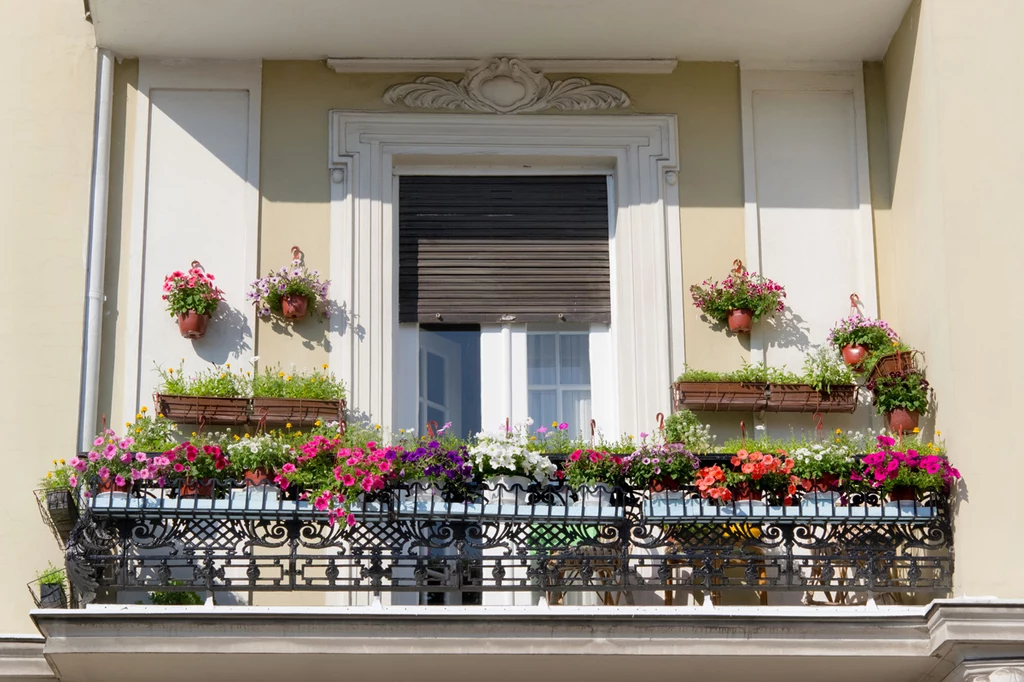 Oprócz funkcji ozdobnej, twój balkon może pełnić rolę warzywniaka 