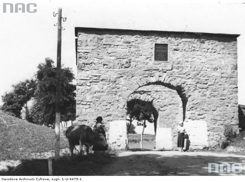 Okopy św. Trójcy. Ruiny zamku