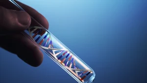 Po badaniach DNA prawda wyszła na jaw