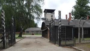 Spośród więźniów z pierwszego transportu wojnę przeżyło 239