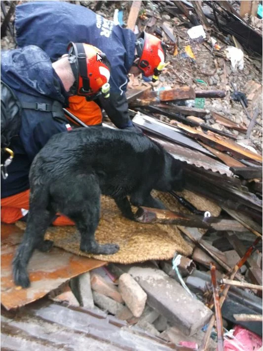 Wstrząsające zdjęcia z Nepalu wysłali polscy strażacy