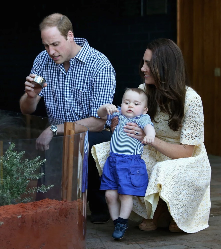 Książę William i księżna Kate